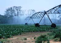 CenterPivotPhoto_037