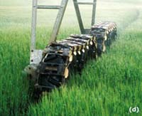 CenterPivotPhoto_039