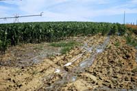 CenterPivotPhoto_041