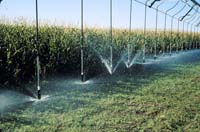 CenterPivotPhoto_044