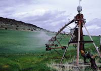 CenterPivotPhoto_045