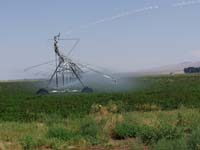 CenterPivotPhoto_046