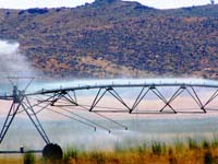 CenterPivotPhoto_047