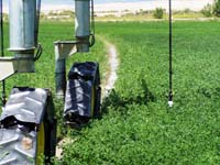 CenterPivotPhoto_054