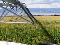 CenterPivotPhoto_061