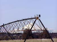 CenterPivotPhoto_067