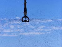 CenterPivotPhoto_071