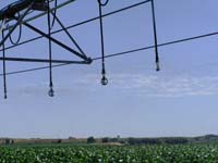 CenterPivotPhoto_073