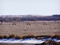 CenterPivotPhoto_074