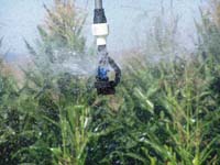 CenterPivotPhoto_080