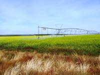 CenterPivotPhoto_085