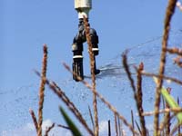 CenterPivotPhoto_088