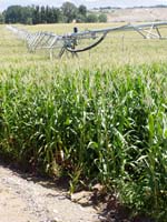 CenterPivotPhoto_096