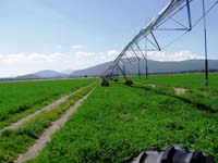 CenterPivotPhoto_110