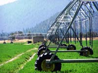 CenterPivotPhoto_111