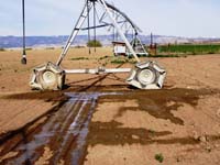 CenterPivotPhoto_116