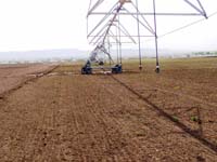 CenterPivotPhoto_117