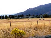 CenterPivotPhoto_121