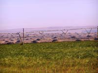 CenterPivotPhoto_123