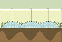 late wide Sprinkler spacing