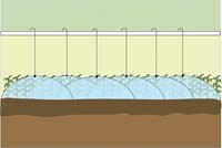 narrowSprinkler spacing