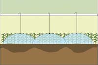 wide Sprinkler spacing