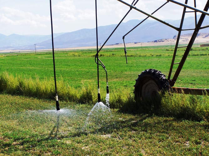 CenterPivotPhoto_125