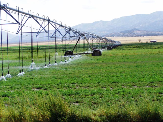 CenterPivotPhoto_127