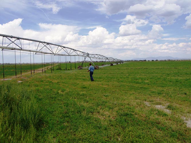 CenterPivotPhoto_129