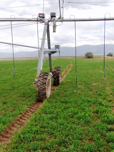 CenterPivotPhoto_138