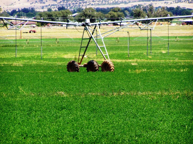 CenterPivotPhoto_140