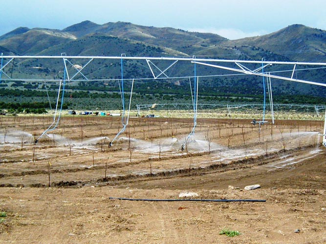 CenterPivotPhoto_142