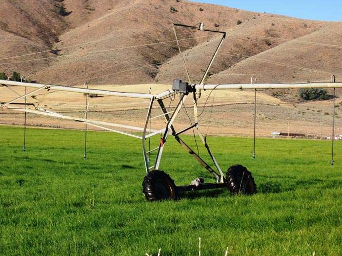 CenterPivotPhoto_143