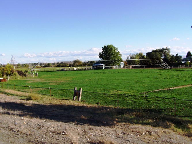 CenterPivotPhoto_146