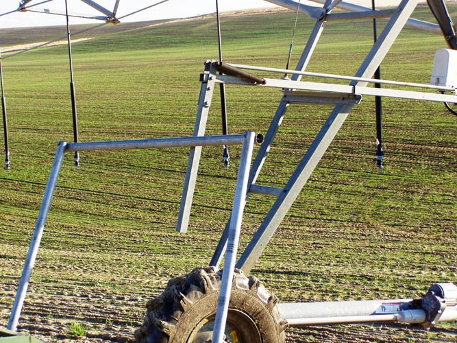 CenterPivotPhoto_150
