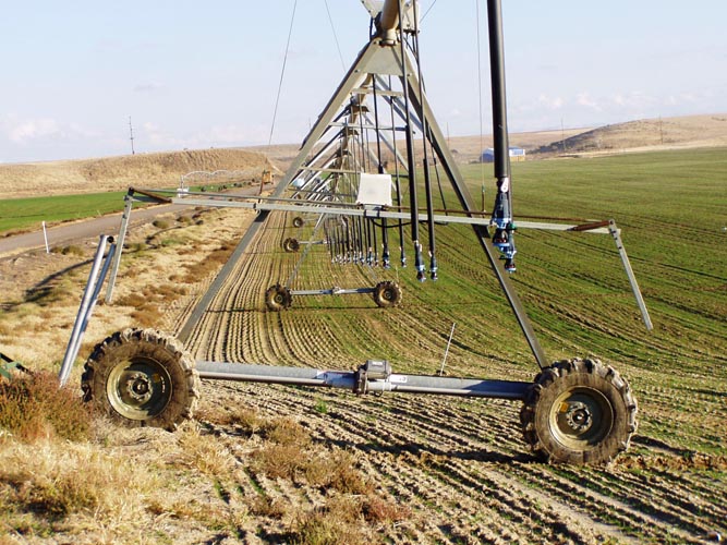CenterPivotPhoto_151