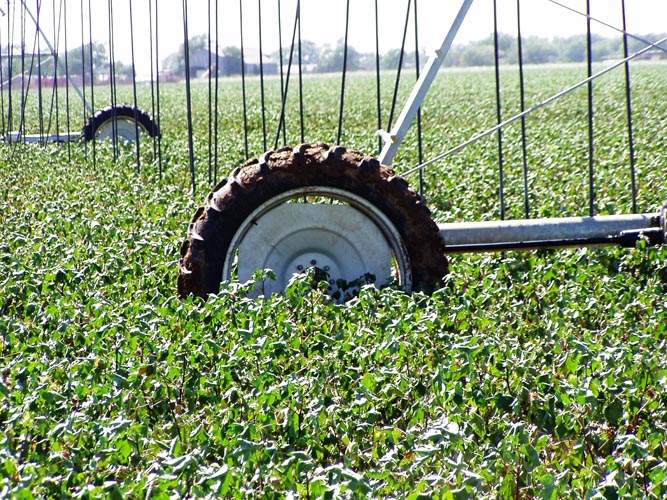 CenterPivotPhoto_169