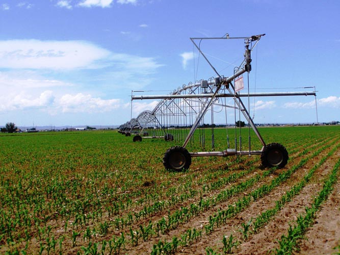 CenterPivotPhoto_176