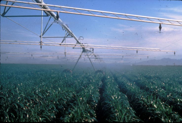 CenterPivotPhoto_178