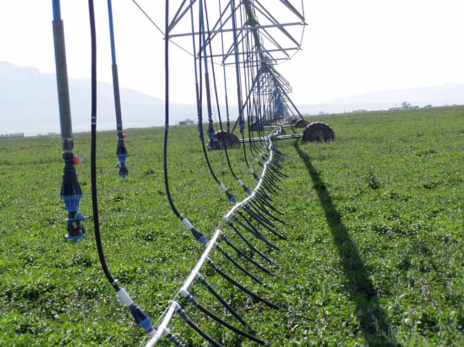 CenterPivotPhoto_179