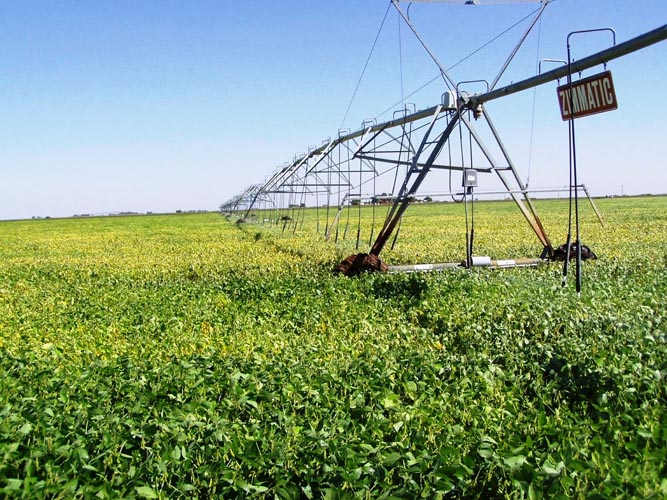 CenterPivotPhoto_182