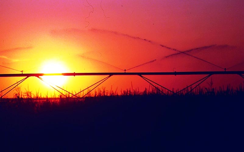 CenterPivotPhoto_184