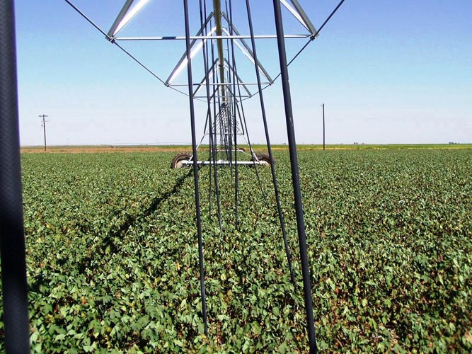 CenterPivotPhoto_188