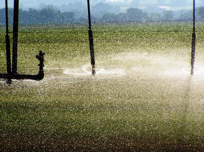 CenterPivotPhoto_193