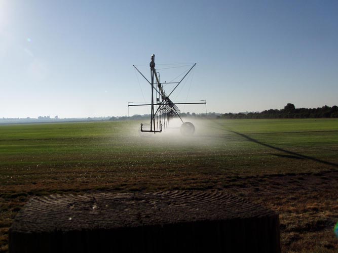 CenterPivotPhoto_194