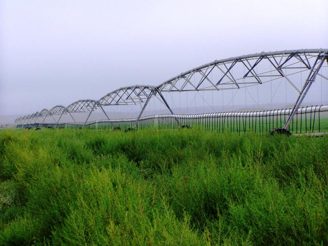 CenterPivotPhoto_204