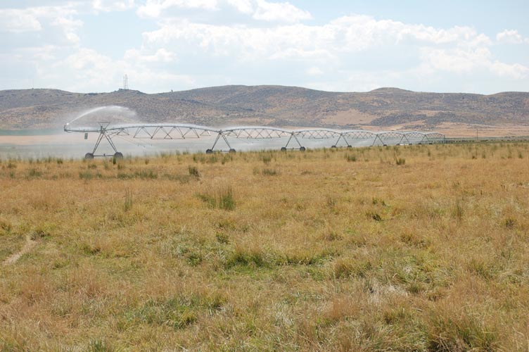 CenterPivotPhoto_209