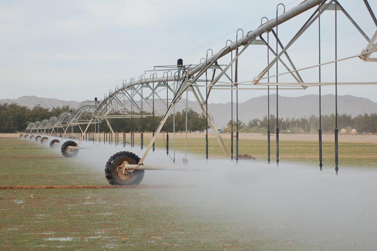 CenterPivotPhoto_213