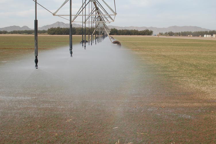 CenterPivotPhoto_214