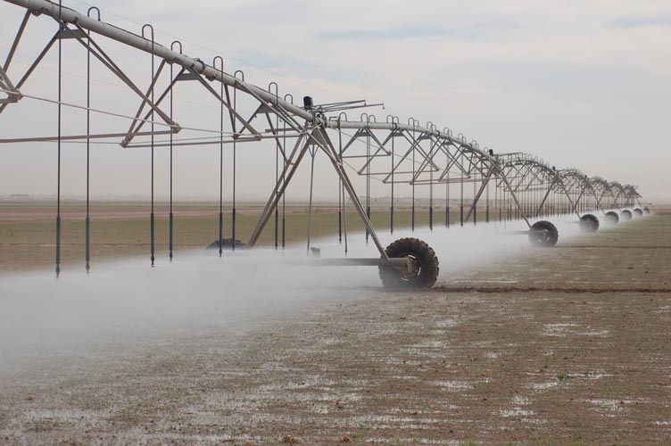 CenterPivotPhoto_215